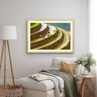 Levels - Lao Cai, Vietnam