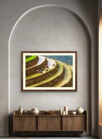 Levels - Lao Cai, Vietnam