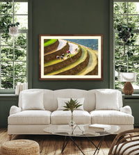 Levels - Lao Cai, Vietnam