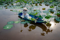 Ao Dai Charm - Lotus Pond Harmony, Hue, Vietnam