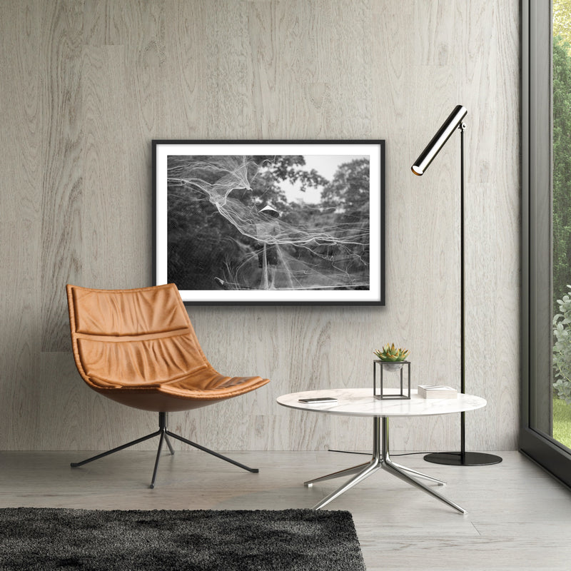 Within, Net Throw - Hue, Vietnam