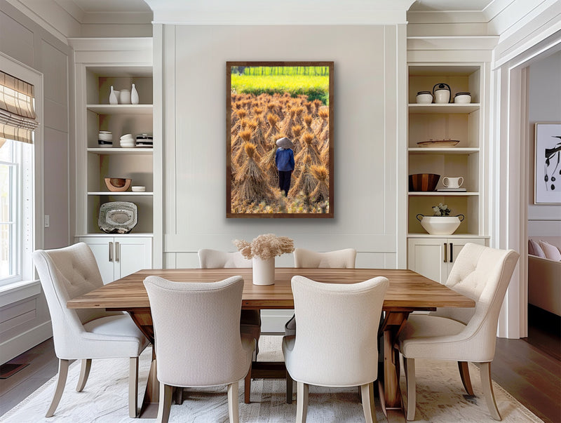 Harvest Gold, Wonder - Cao Bang, Vietnam