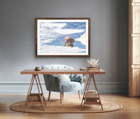 Textures of Life, Salt Field Reflections - Vietnam