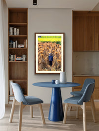 Harvest Gold, Wonder - Cao Bang, Vietnam