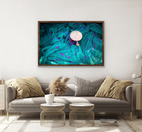 Turquoise Tranquility - Nha Trang, Vietnam