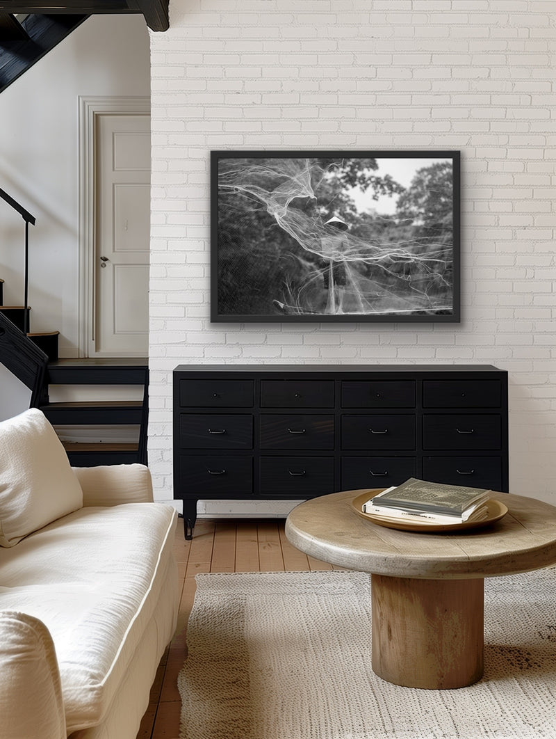 Within, Net Throw - Hue, Vietnam