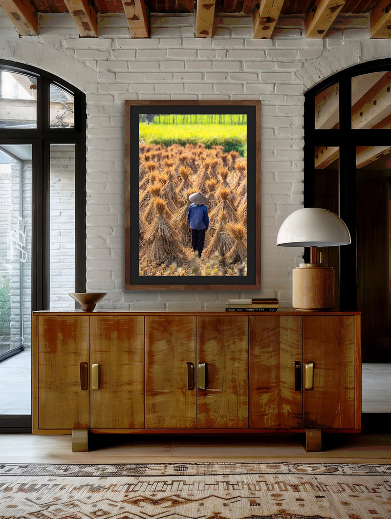 Harvest Gold, Wonder - Cao Bang, Vietnam