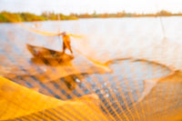 Sunlit Nets, Morning Mirage - Hoi An, Vietnam