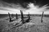 Desolate: Tumbleweeds and an Old Wooden Fence I - Bluff, Utah