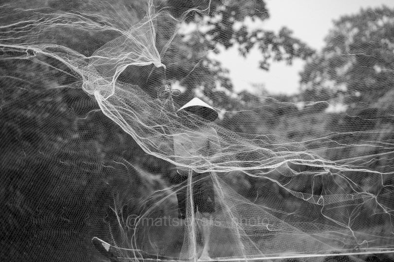 Within, Net Throw - Hue, Vietnam