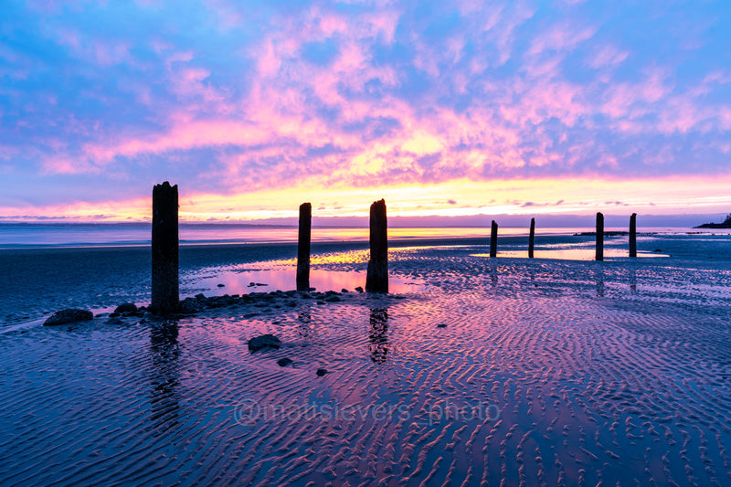 Dock Pilings at Low Tide (Pathway of Light) - Chinook, Washington